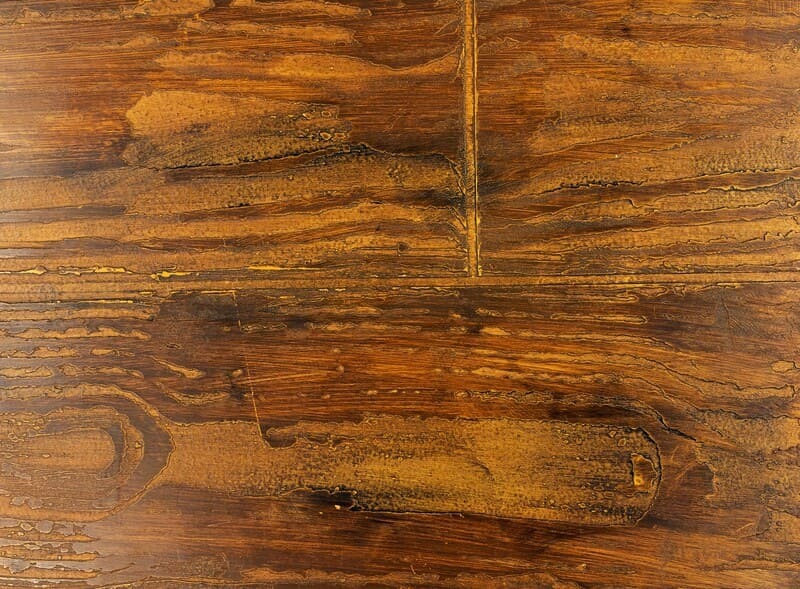 Custom Spatulata, Armourcoat Custom Spatulata